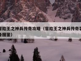 冒险王之神兵传奇攻略（冒险王之神兵传奇装备图鉴）