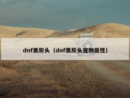 dnf黑炭头（dnf黑炭头宠物属性）