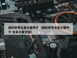 我的世界女巫小屋种子（我的世界女巫小屋种子 女巫小屋介绍）