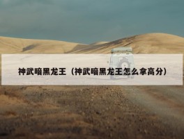 神武暗黑龙王（神武暗黑龙王怎么拿高分）