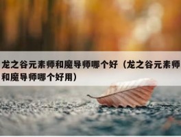 龙之谷元素师和魔导师哪个好（龙之谷元素师和魔导师哪个好用）