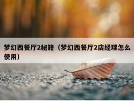 梦幻西餐厅2秘籍（梦幻西餐厅2店经理怎么使用）