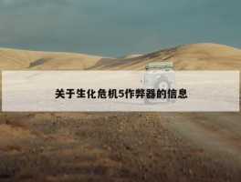 关于生化危机5作弊器的信息
