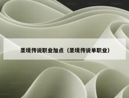 圣境传说职业加点（圣境传说单职业）