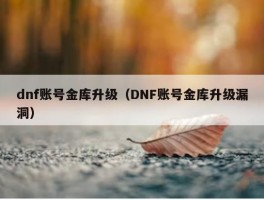 dnf账号金库升级（DNF账号金库升级漏洞）