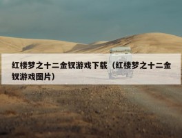 红楼梦之十二金钗游戏下载（红楼梦之十二金钗游戏图片）